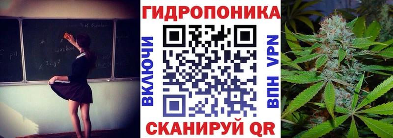 где продают наркотики  Качканар  МАРИХУАНА THC 21% 